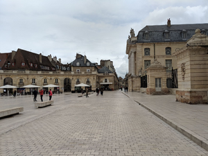 Pressing de luxe Dijon